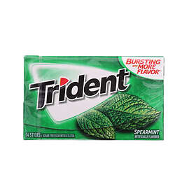 Trident Spearmint Gum 31g
