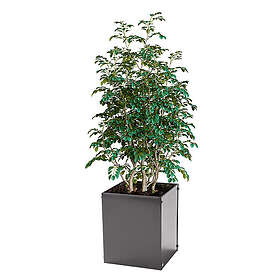 Skotte Garden Ytterkruka Antracitgrå kruka 25x25x30 cm 103012