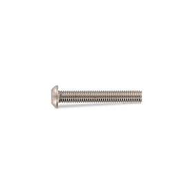 Schäfer & Peters 912126 35 Säkerhetsskruv M6, rostfri A2, TX-PIN 30, 100-pack M6 x 35 mm