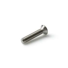 Schäfer & Peters 145814514 Senkhodeskrue M5 x 14mm A4 500-Pack
