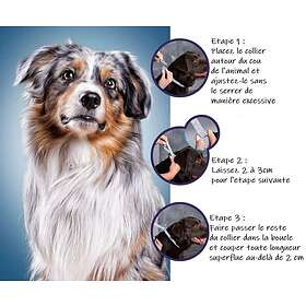 Bayer Seresto Dog Collar +8kg