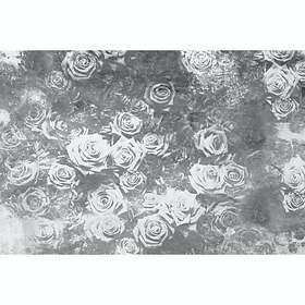 Abstract Dimex Fototapet Roses II Non Woven 375x250 cm MS-5-0378