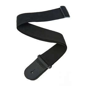 Planet Waves PWS100