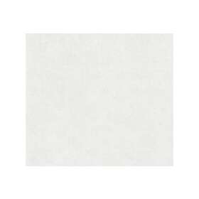 A.S. Creation Slät Tapet Memory Ovävd Beige Cream 116055