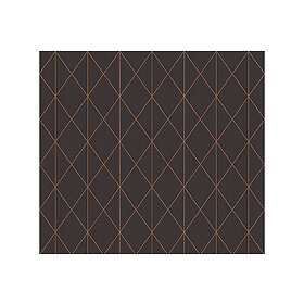 A.S. Creation Geometric Tapet Svart & Vit Ovävd 365754