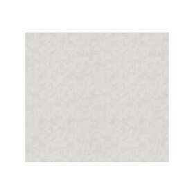 A.S. Creation Struktur Tapet Meistervlies Ovävd 153319