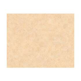 A.S. Creation Slät Tapet MeisterVlies Ovävd Orange 960056