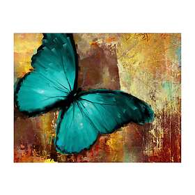 Artgeist Fototapet Painted Butterfly sp. z o.