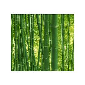 A.S. Creation Motif Tapet Authentic Walls Papper Grön 938718