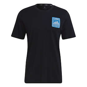 Adidas Terrex Patch Mountain Tee (Herr)