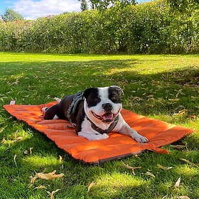 Mikopet Movapet stor sammenrullbar reisematte 115x67cm