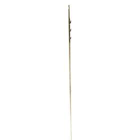 Sigalsub Tahitian Shaft Hrc With Shark Fins Double Barb 8 Mm Brun 125 cm