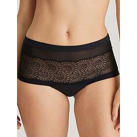 PrimaDonna Sophora Hipster