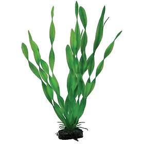 HOBBY Plastväxt Vallisneria 34cm