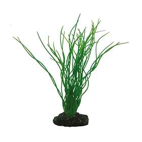 HOBBY Plastväxt Sagittaria 20cm