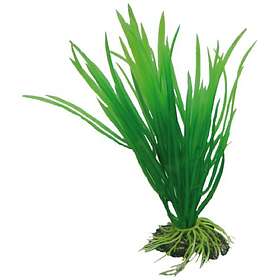 HOBBY Plastväxt Cyperus 16cm
