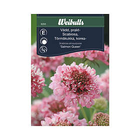 Weibulls Blomsterfrö Praktvädd