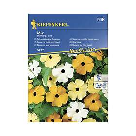 Kiepenkerl Blomfrö Thunbergia mix