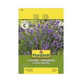 FloraSelf Kryddväxtfrö Lavendel