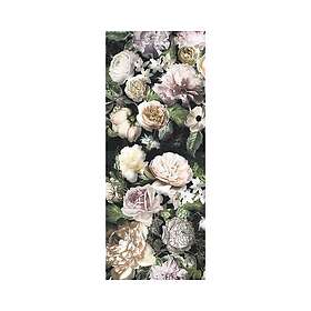 Komar Fototapet Black Panel 1 del 1x2,5m 6035A-VD1