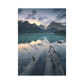 Komar Fototapet Burning Emerald 200x280cm SHX4-012