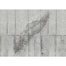 Komar Fototapet Concrete Feather 350x250cm X7-1023