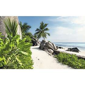 Komar Fototapet Day dream 450x280cm SHX9-084