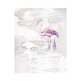 Komar Fototapet Flamingo pink 2 delar 200x250cm 6007A-VD2