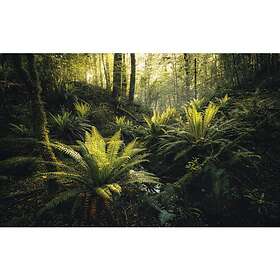 Komar Fototapet Fjordland Woods 450x280cm SHX9-110