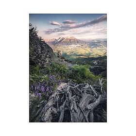 Komar Fototapet Flowering Tales 200x280cm SHX4-130