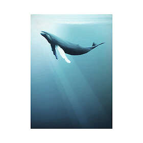 Komar Fototapet Humpback Whale blå IAX4-0045
