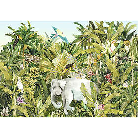 Komar Fototapet Jungle Expedition vit IAX8-0002