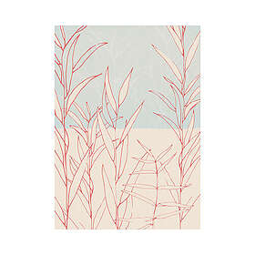 Komar Fototapet Plain 200x280cm 4-delars INX4-023