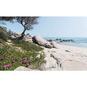 Komar Fototapet Mediterranean dreams 450x280cm SHX9-056