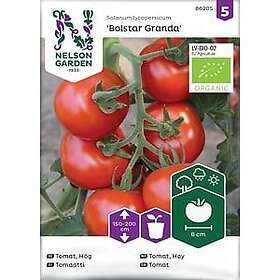 Nelson Garden Fröer Bolstar Granda Organic