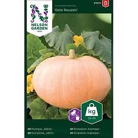 Nelson Garden Fröer Jättepumpa Gele Reuzen