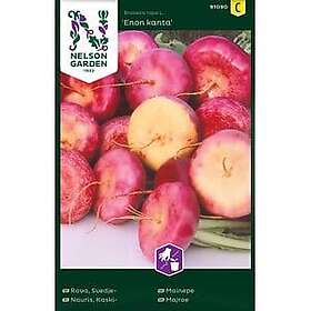 Nelson Garden Fröer Rova Enon Kanta