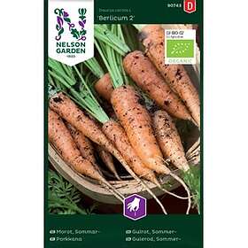 Nelson Garden Fröer Morot Sommar Berlicum 2 Organic