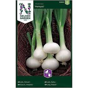 Nelson Garden Fröer Silverlök Pompei