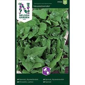 Nelson Garden Fröer Spenat Nyzeeländsk
