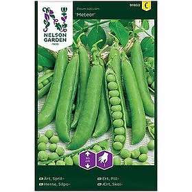 Nelson Garden Fröer Spritärt Meteor Låg