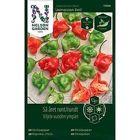 Nelson Garden Fröer Så Året Runt Chilipeppar Jamaican Bell