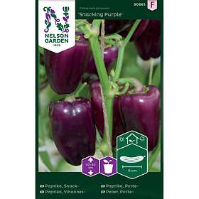 Nelson Garden Fröer Snackpaprika Snacking Purple