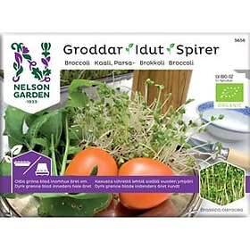 Nelson Garden Groddar Broccoli Organic