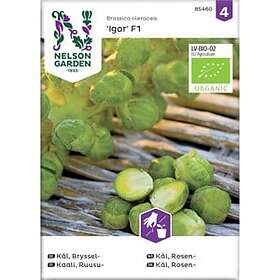 Nelson Garden Fröer Brysselkål Igor F1