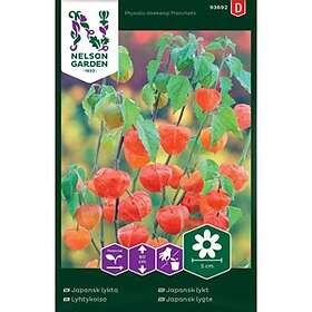 Nelson Garden Fröer Japansk lykta