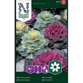 Nelson Garden Fröer Prydnadskål Blandade Färger