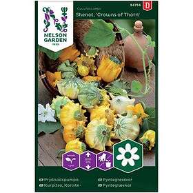 Nelson Garden Fröer Prydnadspumpa Crowns Of Thorns