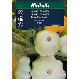 Weibulls Grönsaksfrö Sommarsquash