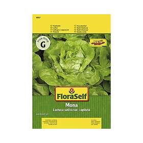 FloraSelf Grönsaksfrö Huvudsallat Mona